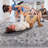 Sand/Ivory/Oriental Non-Shedding Living Room Bedroom Dining Home Office Stylish And Stain Resistant Area Rug-1852572180
