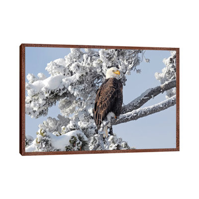 Winter Eagle by Brian Wolf - Floater Frame Print on Canvas