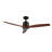 Kandida 52'' Ceiling Fan