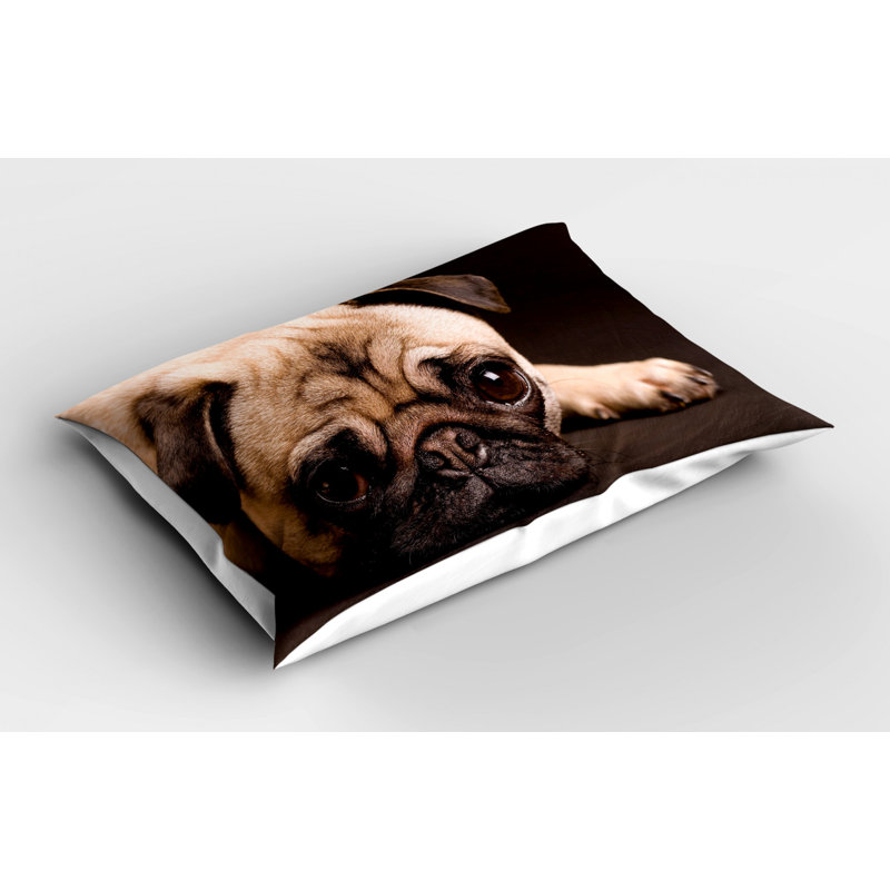 Polyester Sham Set, Twin