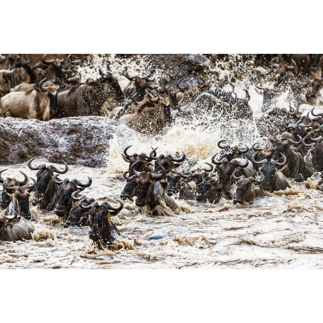 Wildebeest In Masai Mara von Skynesher - Leinwanddrucke