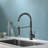 Vetta Pull Out Kitchen Faucet-100462980