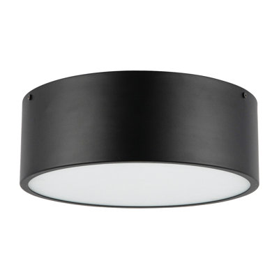 Mossy 2-Light Flush Mount