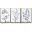 Ensemble de 3 pièces botaniques antiques encadrées sur toile IV-97759902-97759903