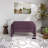 Iryanna Velvet 2-Seat Upholstered Loveseat-2064943999