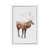 White Floater Framed
