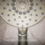 Forte 1.75 gpm Multi function Handheld Shower Head with Katalyst Air Induction Spray-736547403