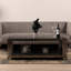 Drye Coffee Table with Storage-94129323-94129393