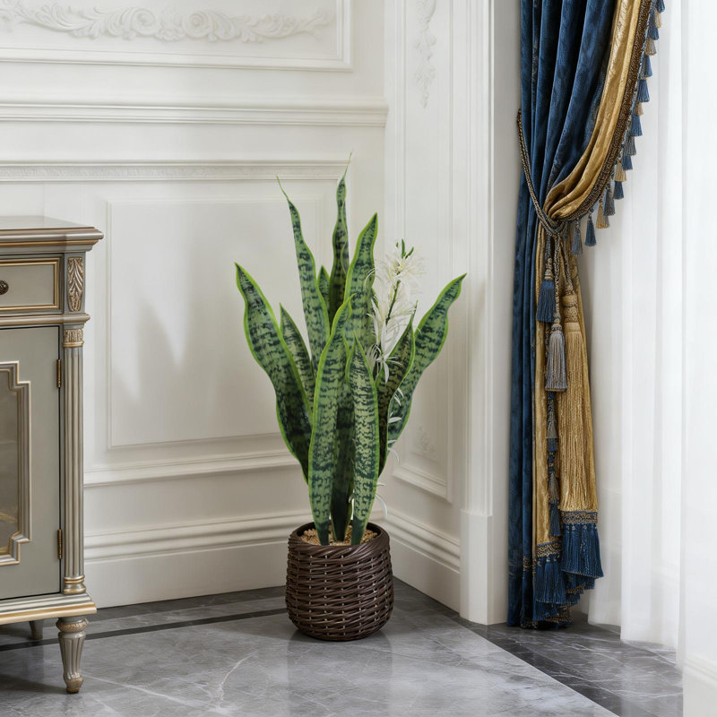 20.2cm Plant, 25.2cm H x 25cm W x 74cm D