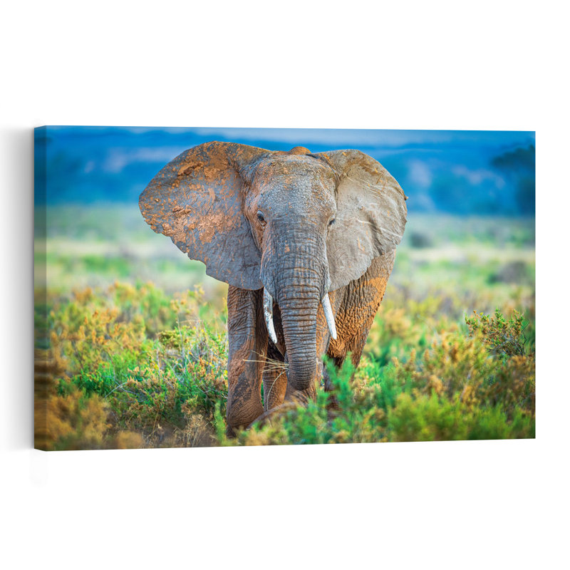 Majestic African Elephant Contemporary Elephant Nature Wildlife Wall Art Print by Jeffrey C. Sink - 1 Piece Wrapped Canvas Wall Art