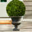Gracie 12 " H Faux Boxwood Topiary