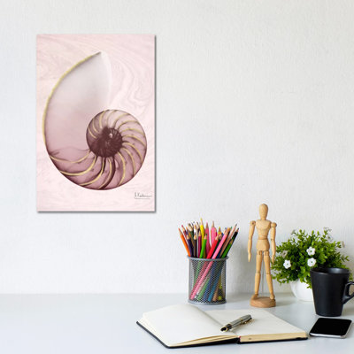 Marble Blush Snail I by Albert Koetsier - Wrapped Canvas Painting