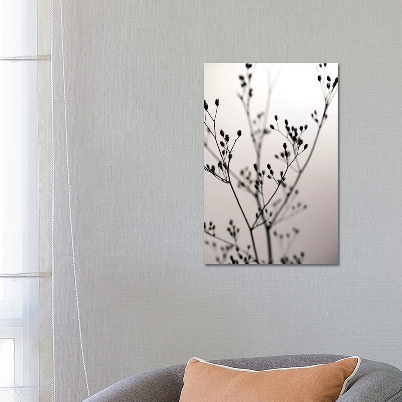 Wildflower Dark Velvet I by Monika Strigel - Wrapped Canvas Painting, 66.04 cm H x 45.72 cm W x 3.175 cm D