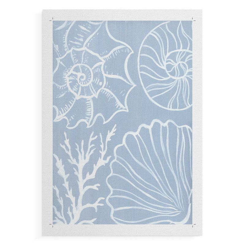 Shell Silhouettes I -Canvas Print Only - NOT FRAMED
