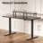 Electric Standing Desk 47", Height Adjustable Sit‑Stand Desk with Monitor Riser, RGB LED Lights & Built‑in Power Strip, Carbon Fiber Surface Stand Up Computer Desk for Home Office Gaming Workstation-461505603