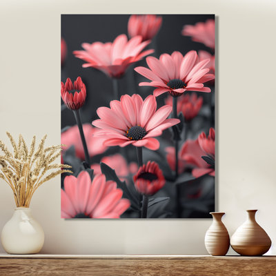 Marguerites roses et noires monochromes photo IV - décorations murales marguerites