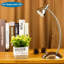 Comesanas Desk Lamp