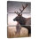 Brampt Mighty Bull Elk