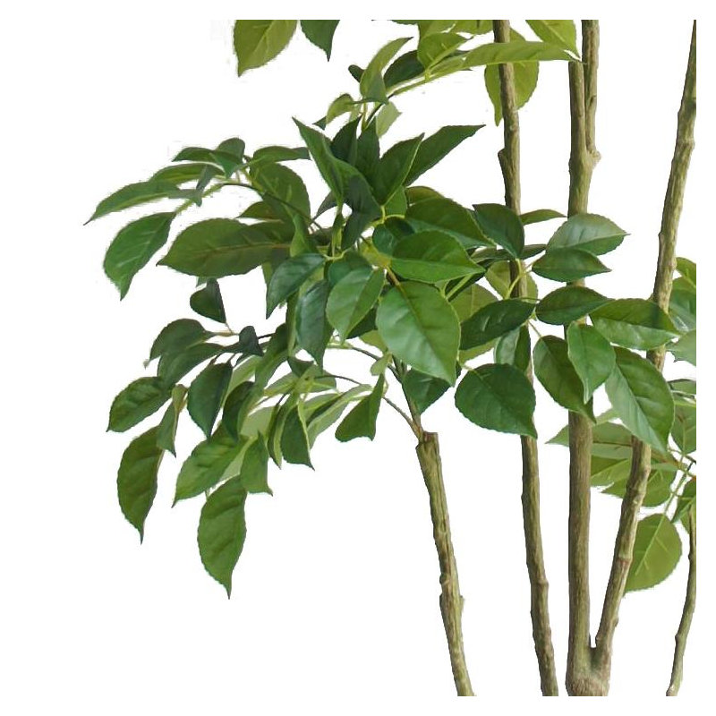 Annistyn 180cm Faux Radermachera Tree in Pot
