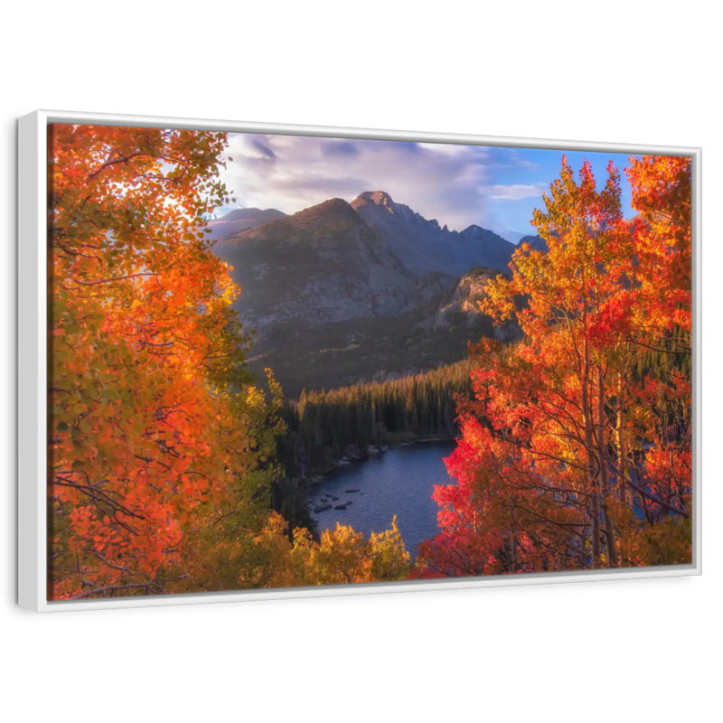 Rocky Mountain Autumn, Cadre flottant blanc, 37 po x 25 po