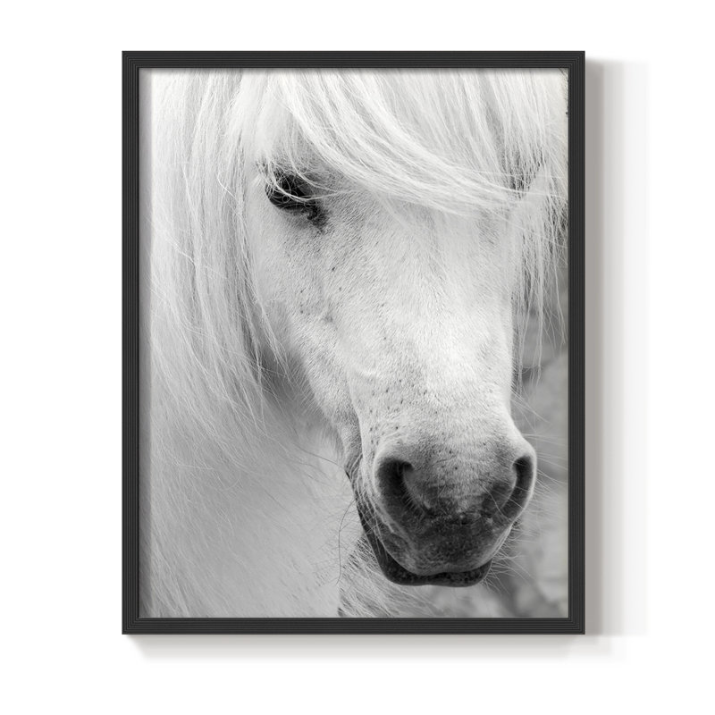 «Island Pony I», reproduction encadrée - bois massif, H 28 po x l 22 po, Noir