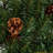 Faux Lighted Pine 36'' Wreath