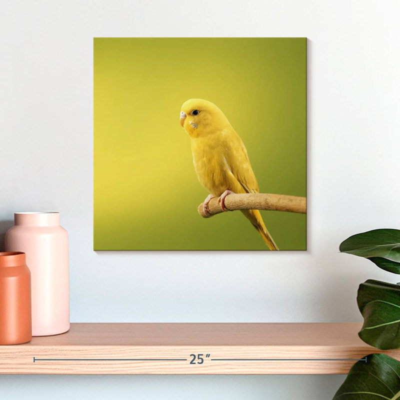 Perruche jaune perchée Brampt, H 16 po x l 16 po