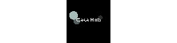 Logo CasaHub