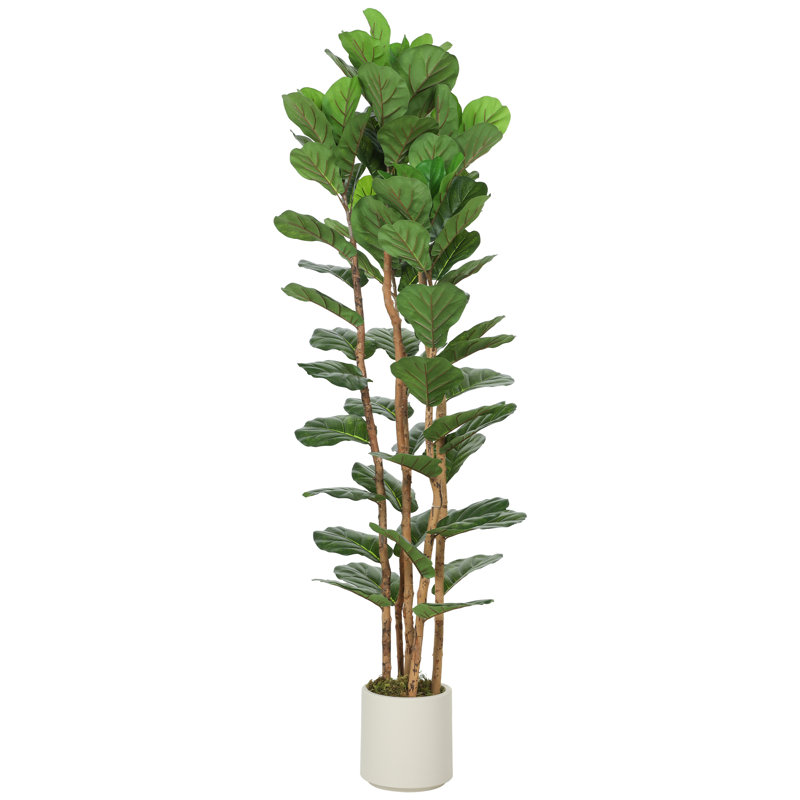 Plant, 180 cm x 55 cm