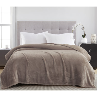 Vanessa Teddy Plush Blanket