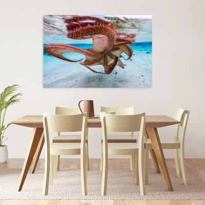 Octopus Under Surface Contemporary Octopus Wall Art Print