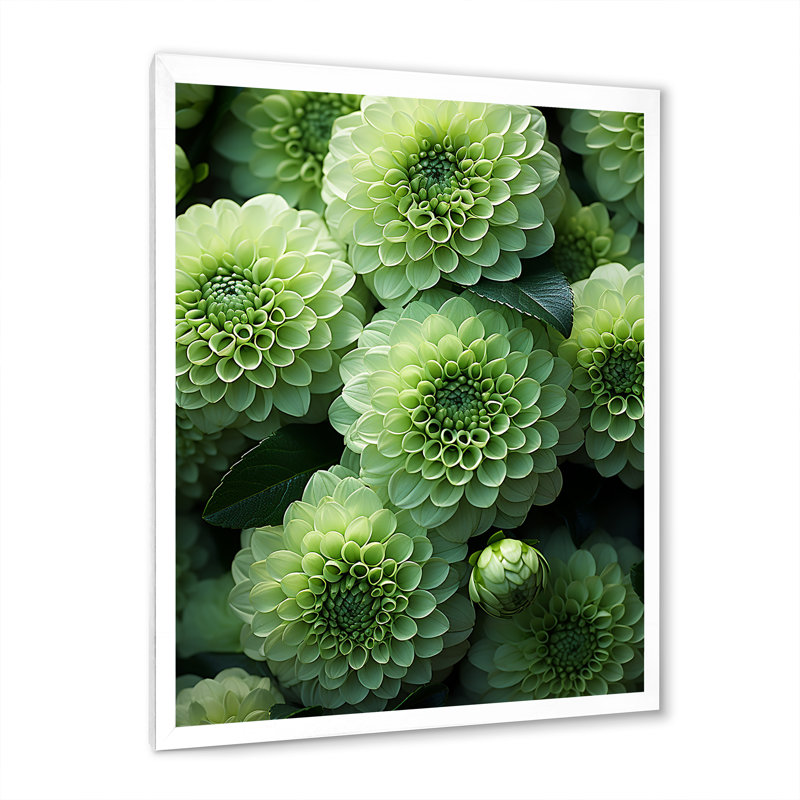Zinnias vert crépuscule I, Cadre simple blanc, H 32 po x l 16 po x P 1 po