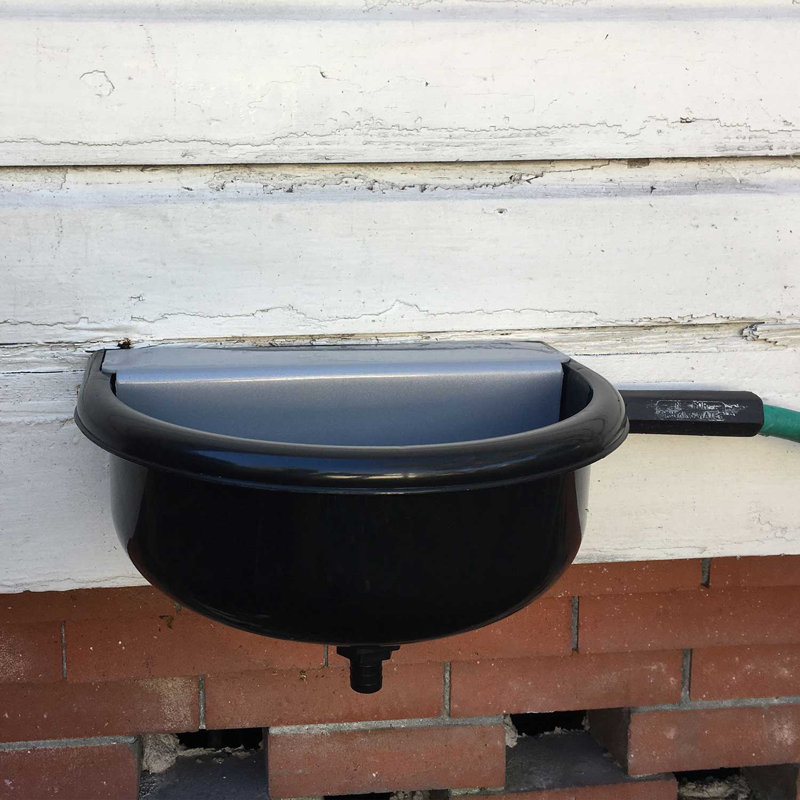Automatic Water Dish