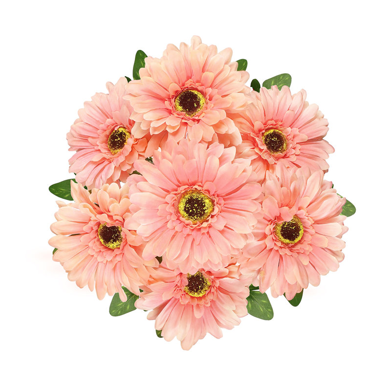 Gerbera Daisy Bushes, Pêche