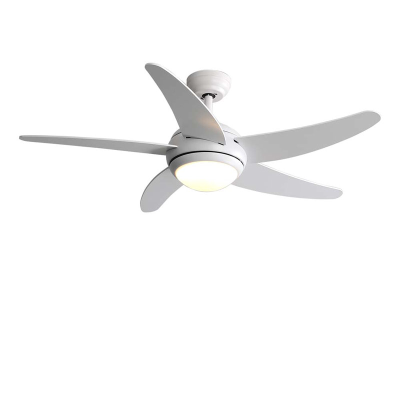 Cheryl-Ann Ceiling Fan with LED Lights
