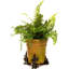 Iunia Stone Weather Resistant Planter Feet