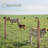 Farm Fence 14Gauge Heavy Zinc Coating Cattle Fence,Galvanized Field Wire Fencing Deer Fence,Goat Fence,Hog Wire Fencing for Yard Livestock & Animals Protection-111605373