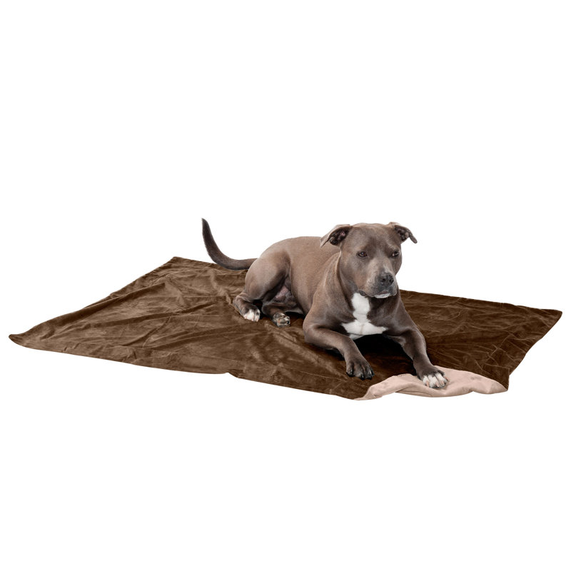 Granite Gray Medium Waterproof Velvet Pet Blanket