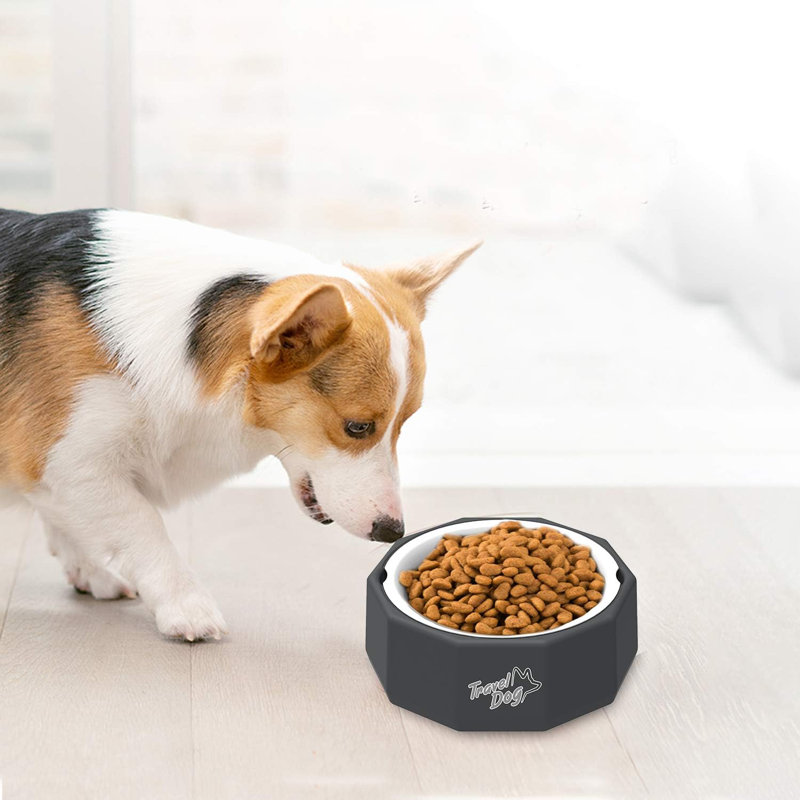 2 en 1 Pet Bowl Cat