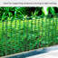 Bronzavia Dakota Fields Green Metal Pet Barrier