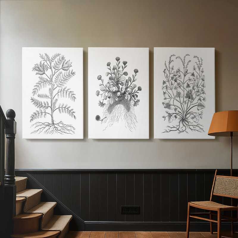 B&W Plant Spechantillon IX - Toile tendue sur mesure avec châssis - 3 pièces, H 60 po x l 120 po, Toile tendue