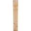 Attelle de genou olympique-29309934-31229659-31230593