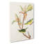 Kentucky Warbler Birds by John Audubon - Wrapped Canvas-55362338