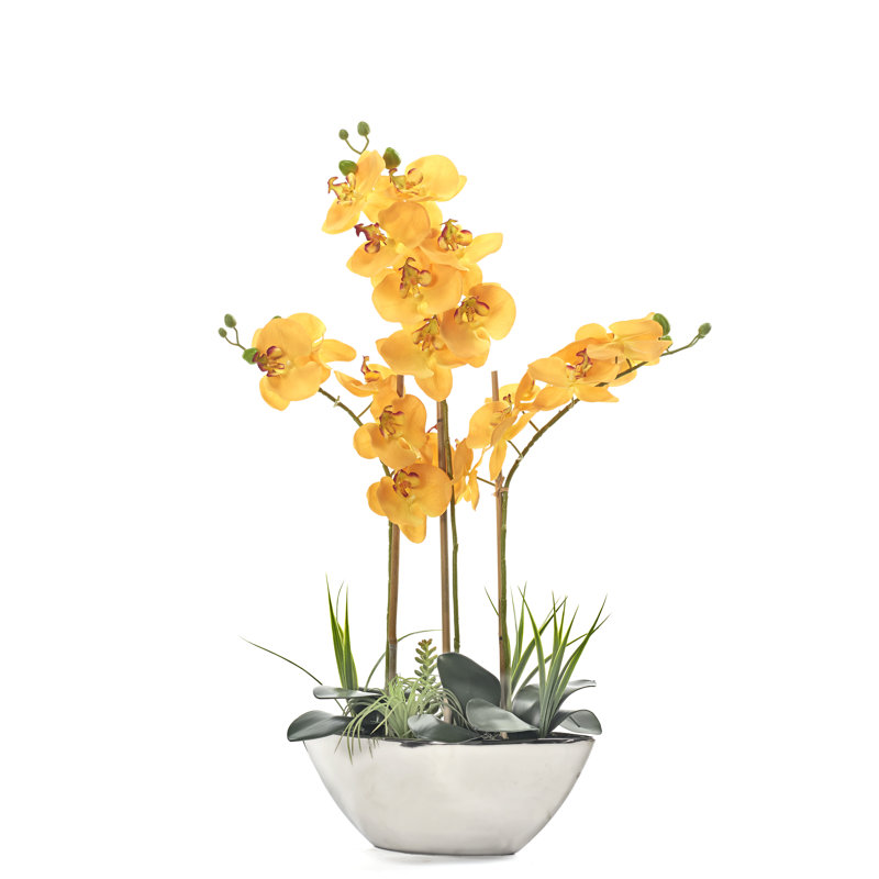 Orchidées orange dans un pot de ciment argenté