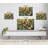 Butterfly Garden II-1042974580