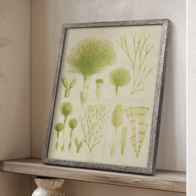 «Vintage Sea Grass III», reproduction encadrée - bois massif, H 11 po x l 9 po