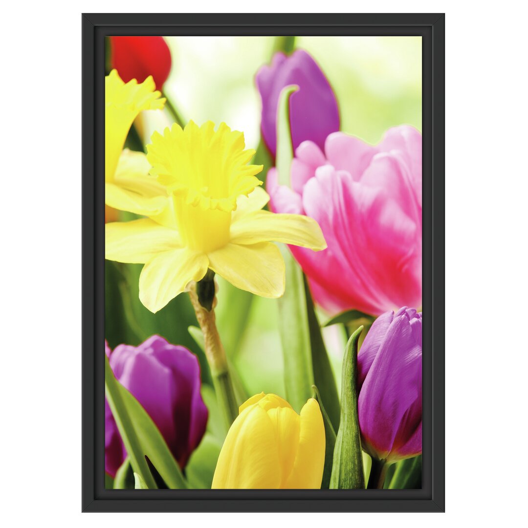 Gerahmtes Wandbild Osterglocken und Tulpen