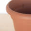 Pot à fleurs intérieur / extérieur Traditional-927975567-812177654