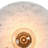 Rapoza 12" W 1-Light Dimmable Sconce with Natural Marble Shield 