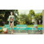 Werph Patio Conversation Set-964090581